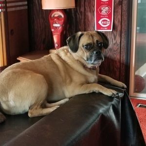 Meet your Posher, Jamie